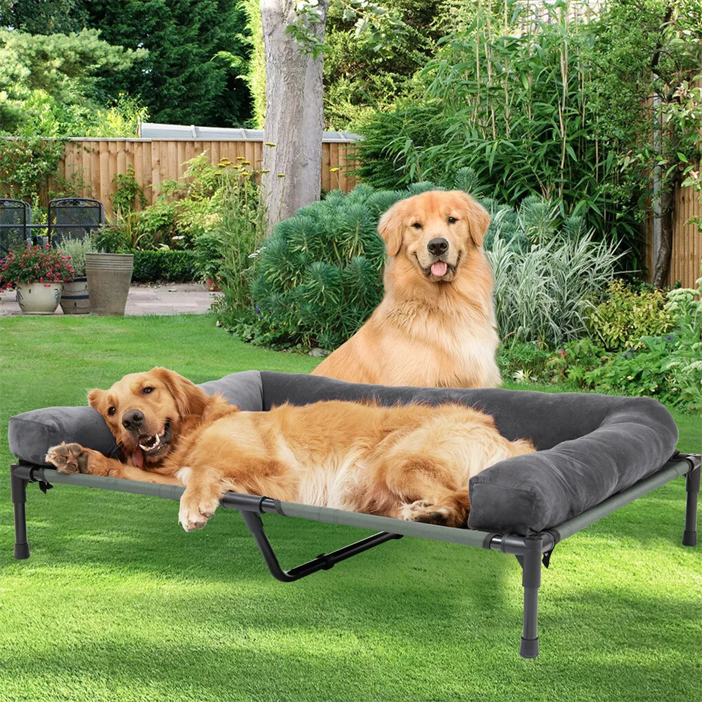 BINGOPAW Outdoor-Hundebett: Er – Outdoor Camping Cot Bewertung und Preis